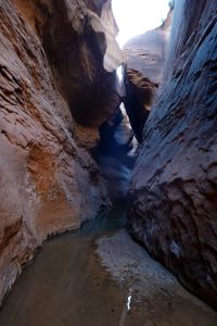 Temná místa Fiftymile Canyonu
